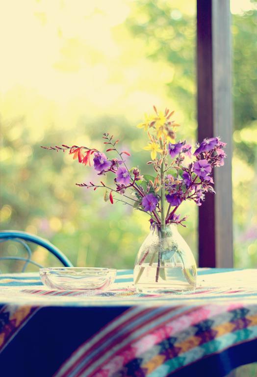 Pear Tree Cottage Stormsrivier Ngoại thất bức ảnh