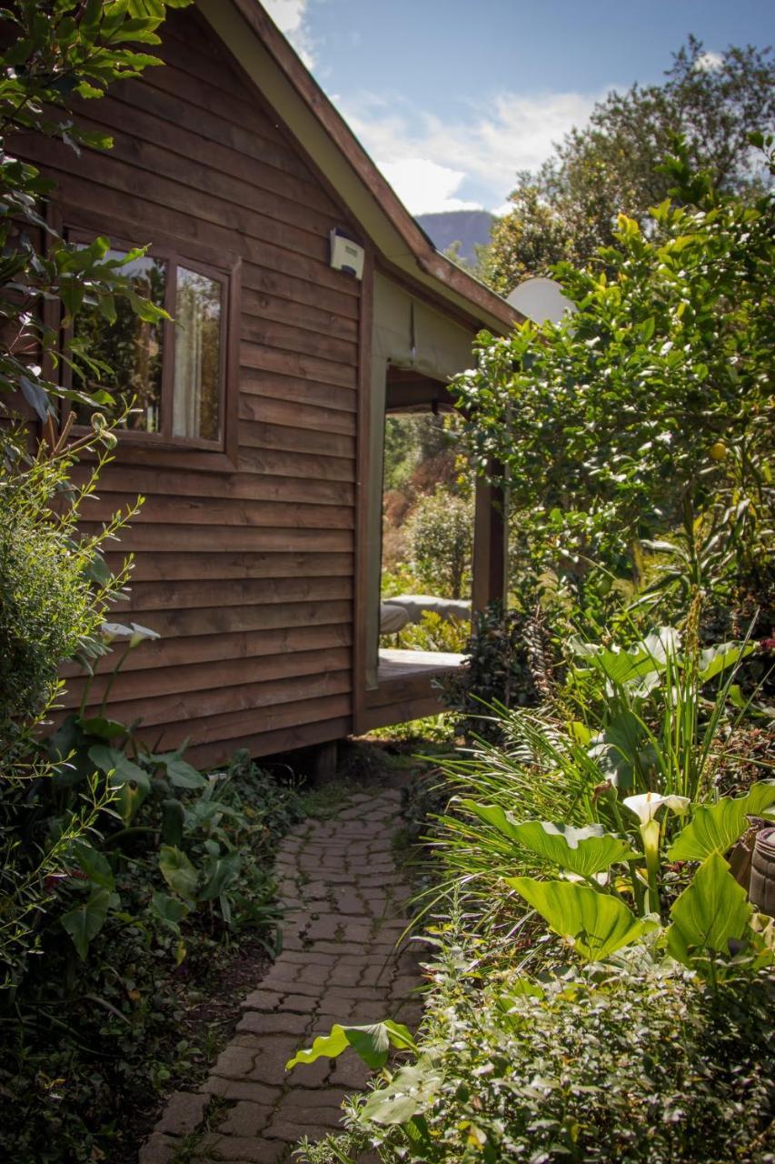 Pear Tree Cottage Stormsrivier Ngoại thất bức ảnh