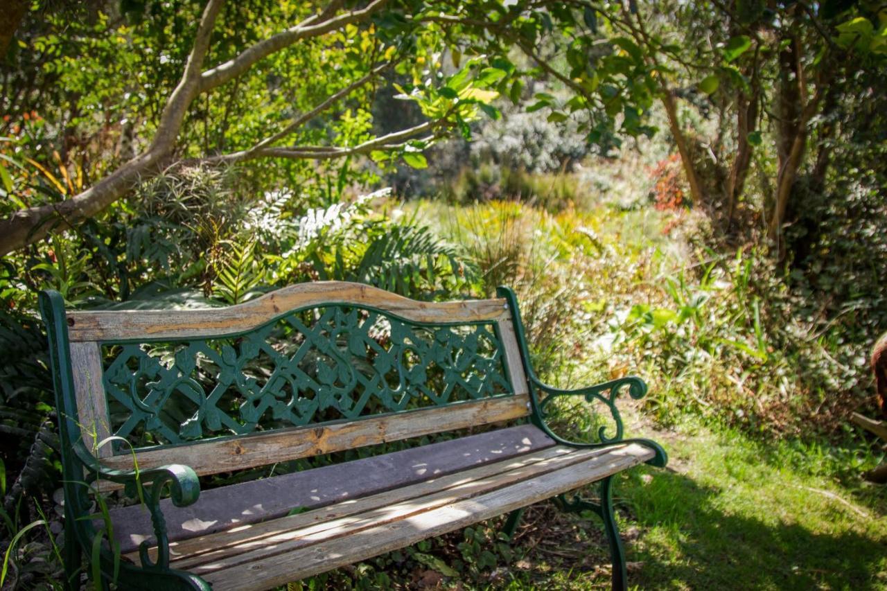 Pear Tree Cottage Stormsrivier Ngoại thất bức ảnh