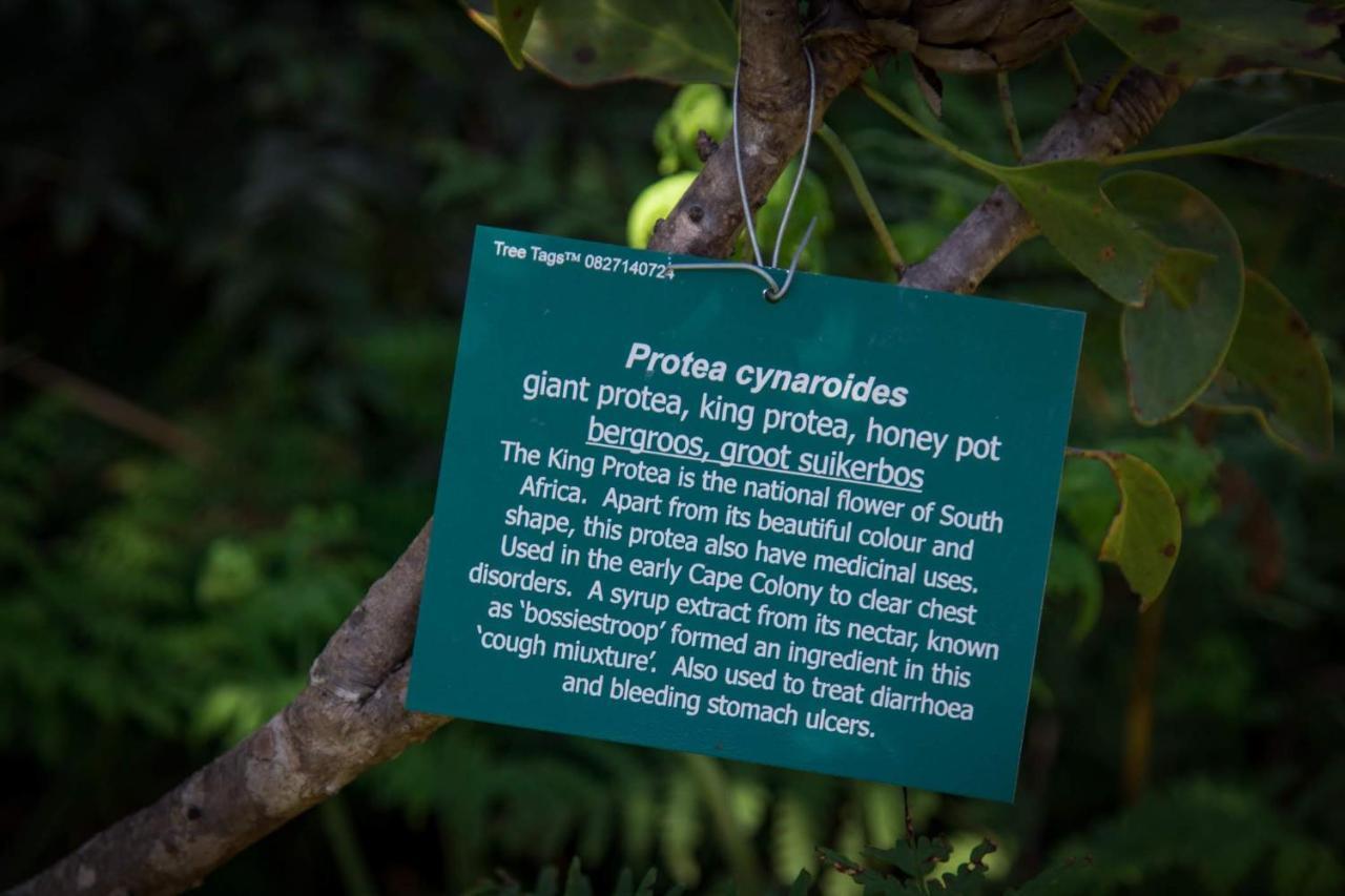Pear Tree Cottage Stormsrivier Ngoại thất bức ảnh